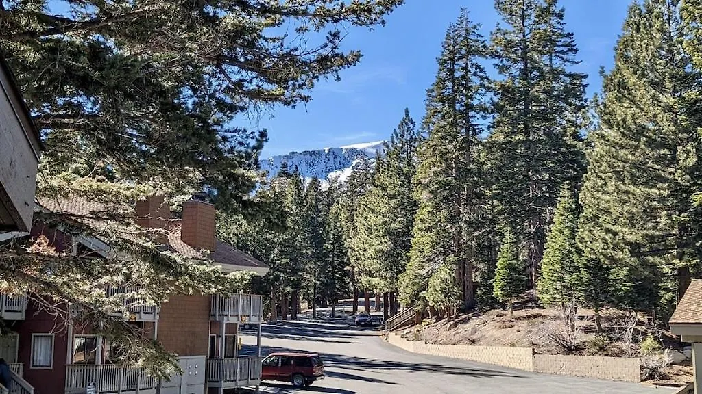 Apartment Cozy Condo Walking Distance To Village And Gondola W/ Pool/ Jacuzzi Sleeps 4. Mammoth Lakes United States